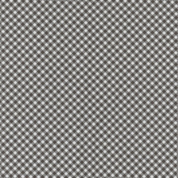 Playtime Flannel Bias Gingham - Maywood Studio