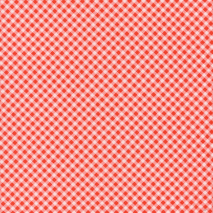 Playtime Flannel Bias Gingham - Maywood Studio
