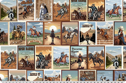 Echoes of the Range Country Grit Quilting Cuddle® Multi - Shannon Fabrics