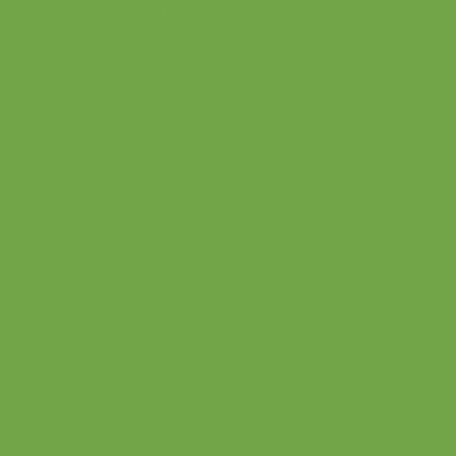 Benartex Super Solids Green - sold by the 1/4 yard