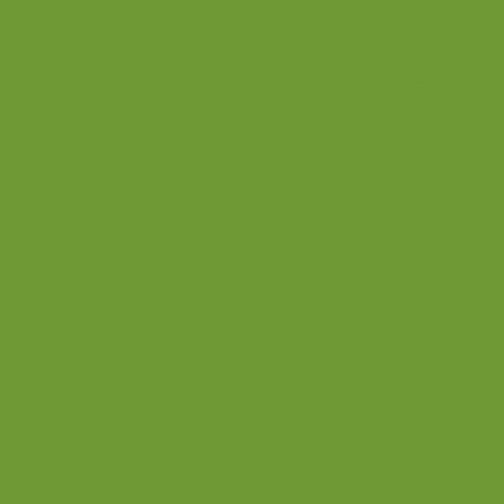 Benartex Super Solids Citron- sold by the 1/4 yard